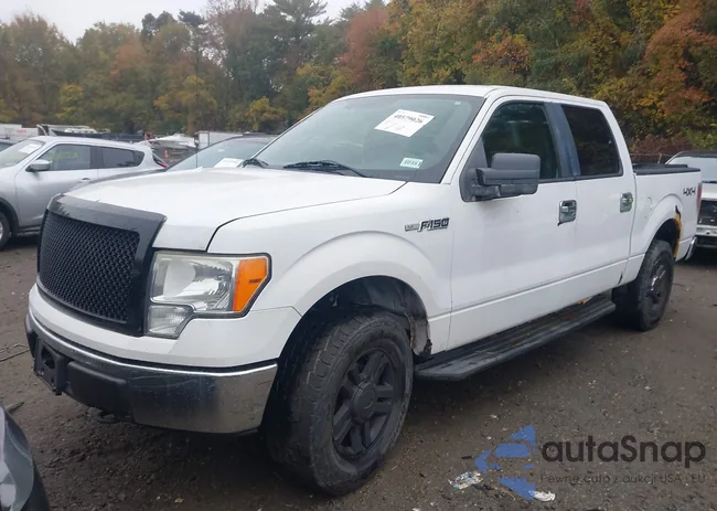 1FTPW14V69KC72076: 43413505