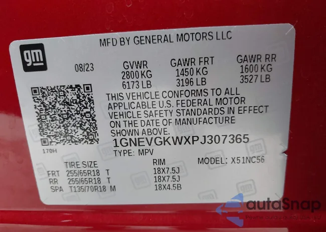 1GNEVGKWXPJ307365: 43414636