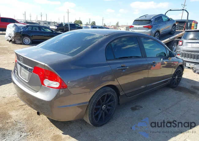 19XFA1F58AE029254: 43415053