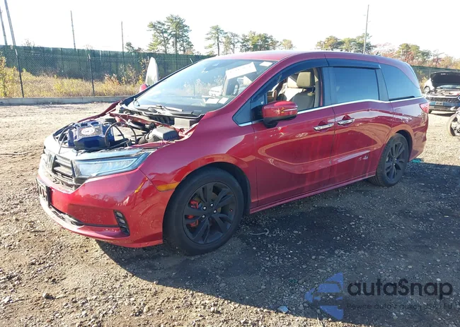 5FNRL6H85NB067343: 43415054