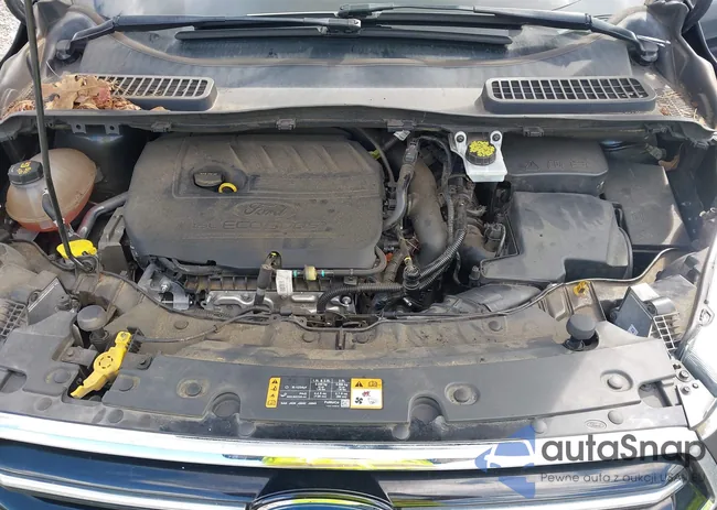 1FMCU0GDXHUE45789: 43415173