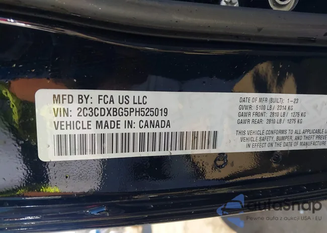 2C3CDXBG5PH525019: 43416049