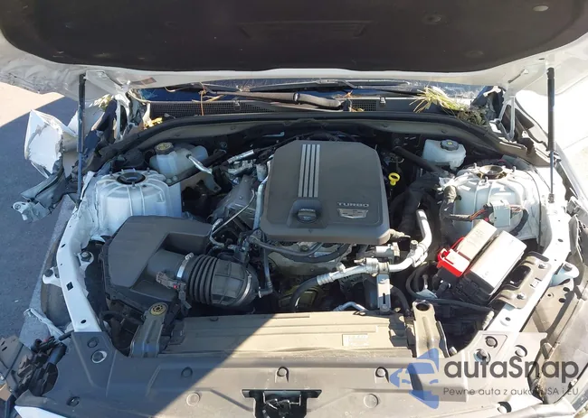 1G6DU5RK1P0144919: 43415509