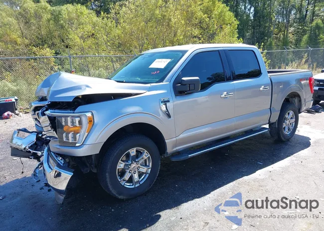 1FTEW1EP1MFA98183: 43416747