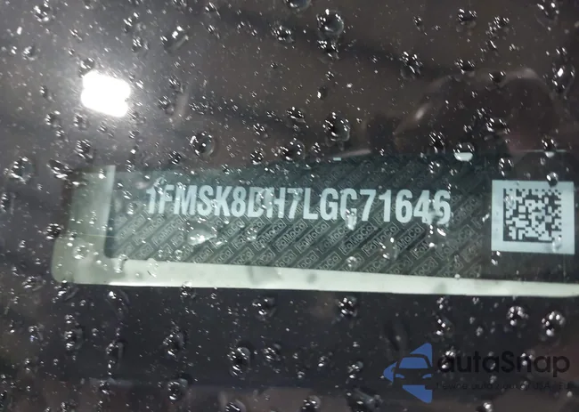 1FMSK8DH7LGC71646: 43417181