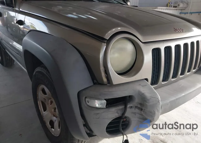 1J4GK48K04W285611: 43416511