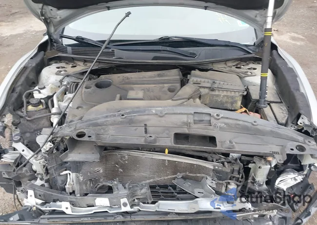 1N4AL3APXHC491041: 43417879