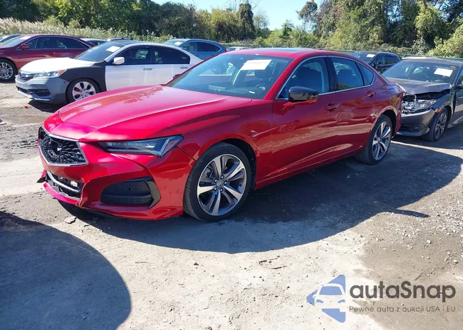 19UUB5F45MA014559: 43418628