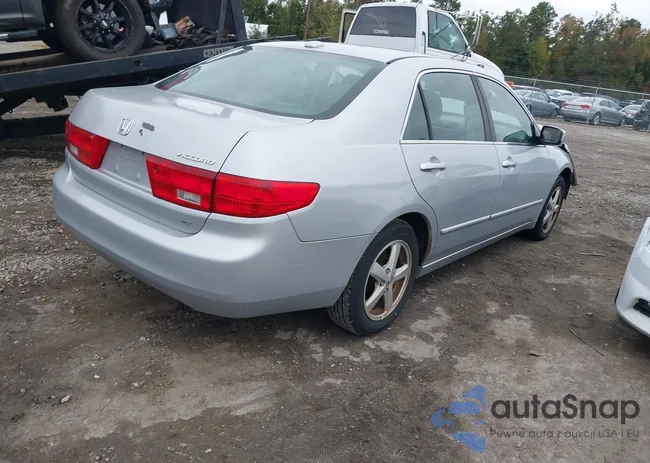 1HGCM56895A192551: 43419648