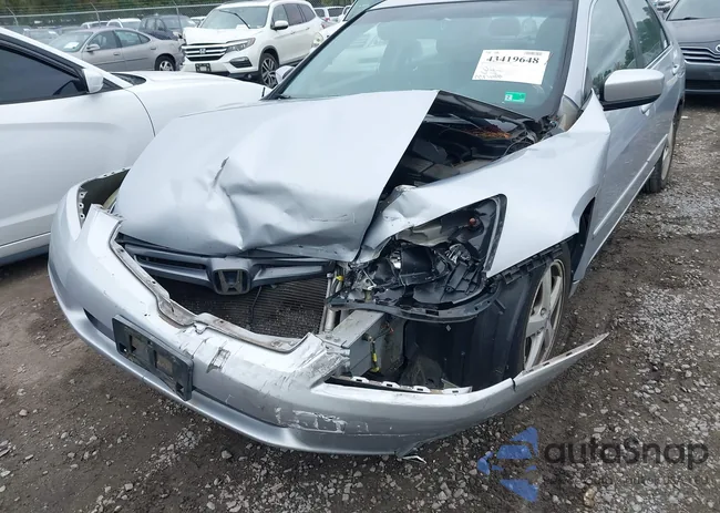 1HGCM56895A192551: 43419648