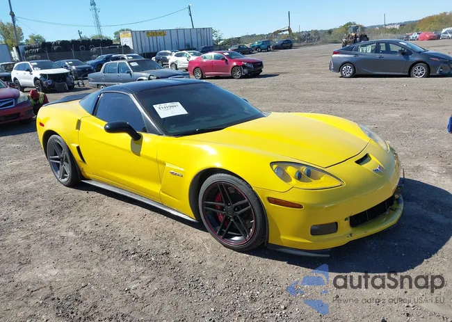 1G1YY26E285111828: 43419807