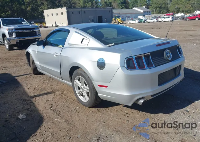 1ZVBP8AM2E5311716: 43419882