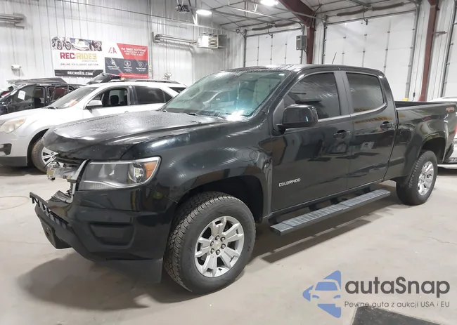 1GCGTCEN1K1209319: 43420134