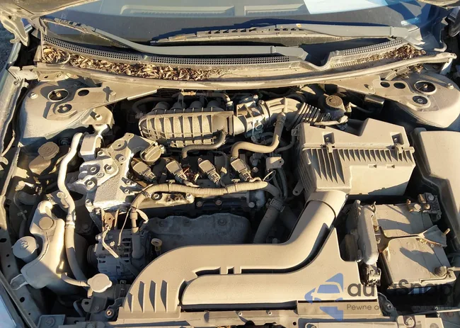 1N4AL2AP8CC253501: 43419283