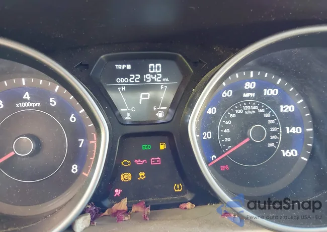 5NPDH4AE6CH135521: 43419426