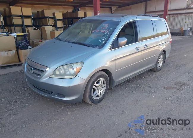 5FNRL38737B105855: 43419469