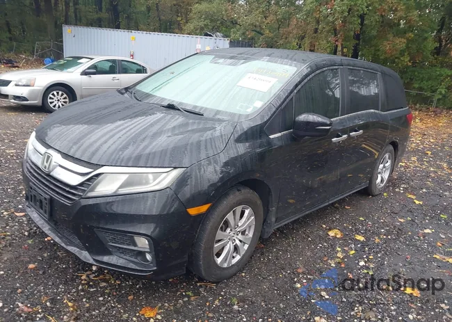 5FNRL6H77JB004519: 43420899