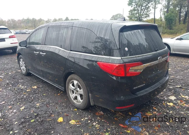 5FNRL6H77JB004519: 43420899