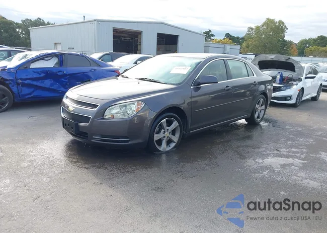 1G1ZC5E13BF216480: 43421107