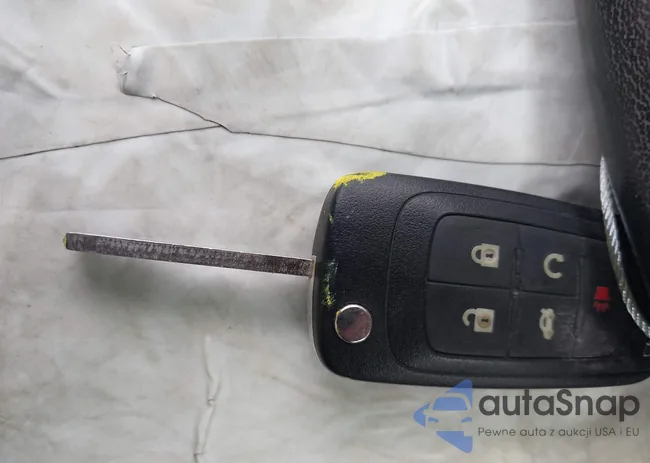 1G4PP5SK9D4179557: 43420309