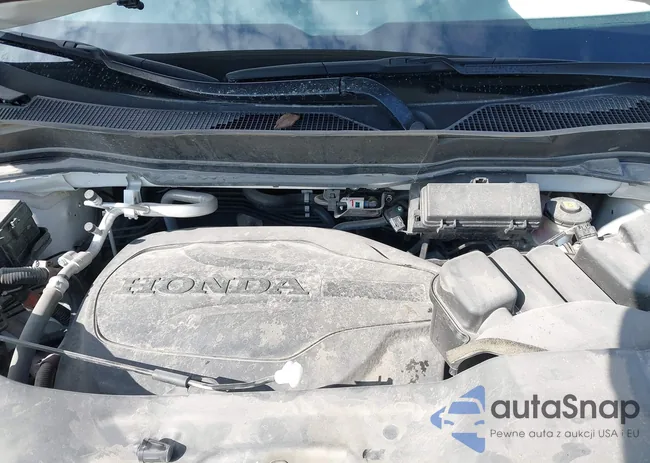 5FNYF8H86RB010881: 43421809