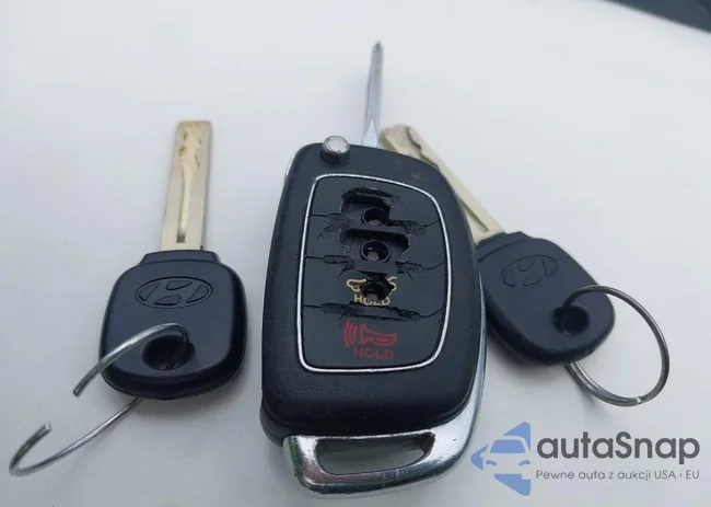 5NPE24AFXGH409078: 43421847