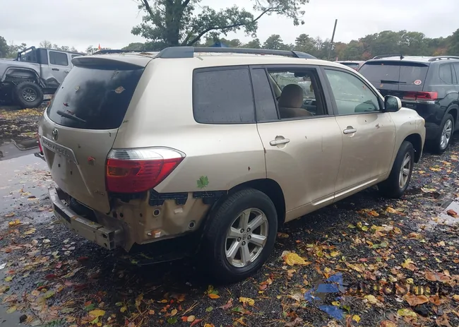 JTEES41A282062025: 43421544