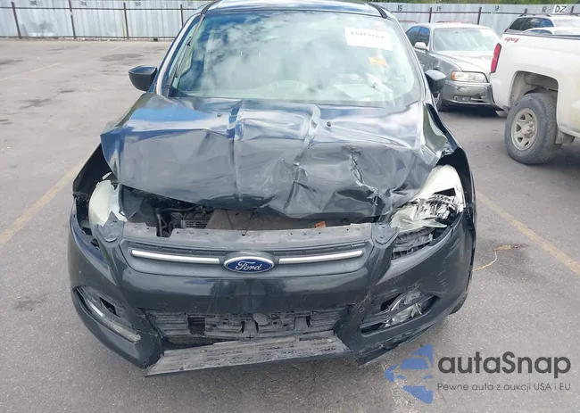 1FMCU9GX9FUA45928: 43423164