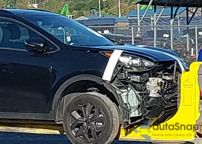 KNDP6CAC7N7955383: 43423661