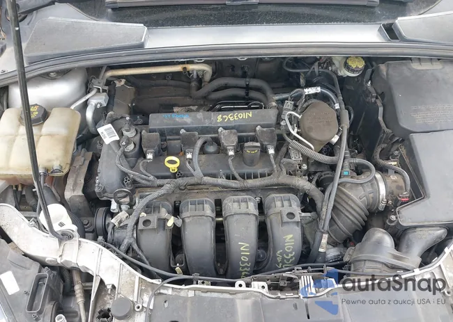 1FADP3K20GL204356: 43423859