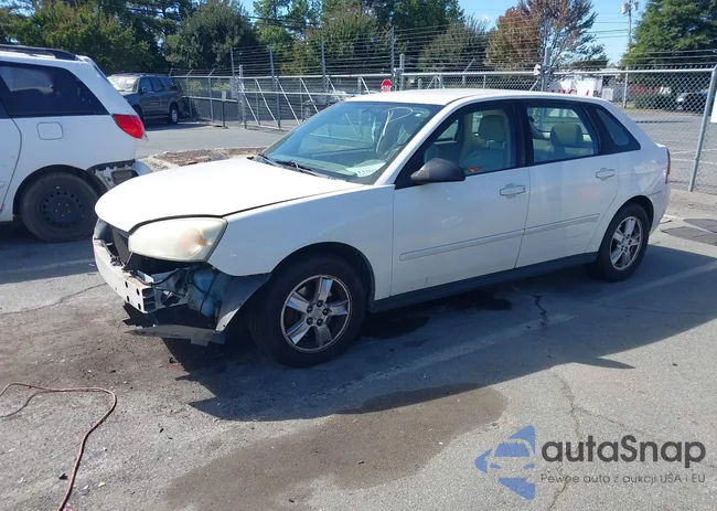 1G1ZT628X5F157262: 43426011