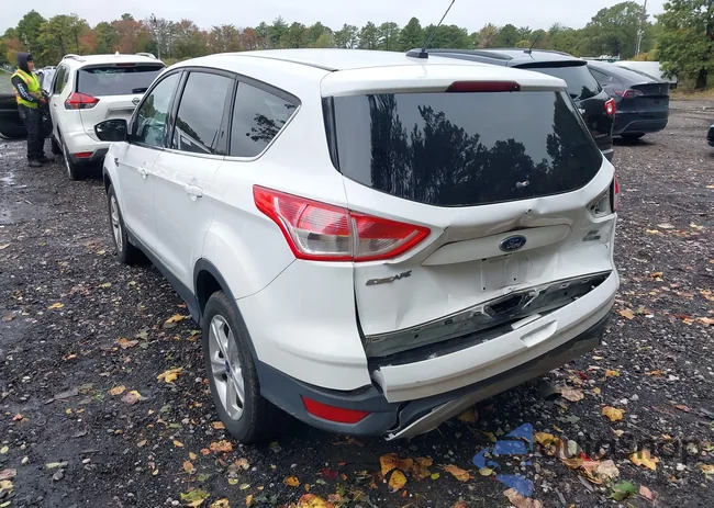 1FMCU9GX6GUA55544: 43426077