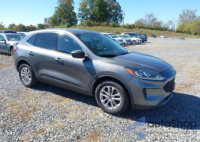 1FMCU0G69NUB14845: 43425296