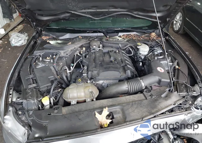 1FA6P8TH4G5208049: 43425482