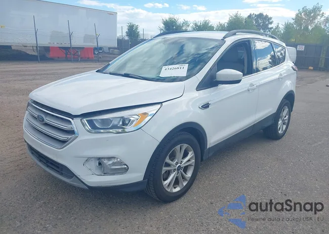 1FMCU9H97JUB49391: 43426811