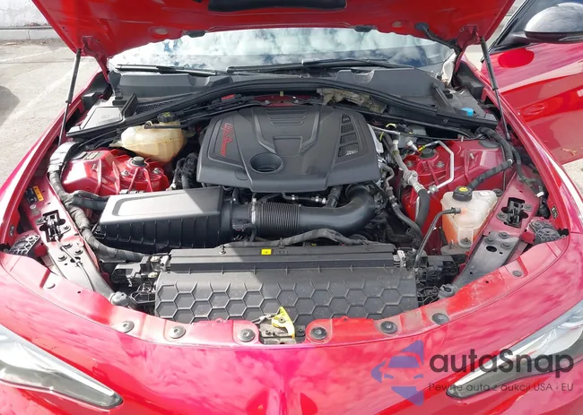 ZARFAMAN9L7626852: 43428067