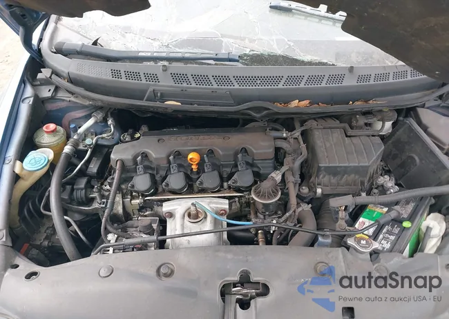 2HGFG128X6H532294: 43428081