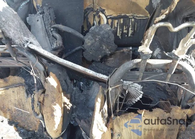 WMWMF33507TT50131: 43427253