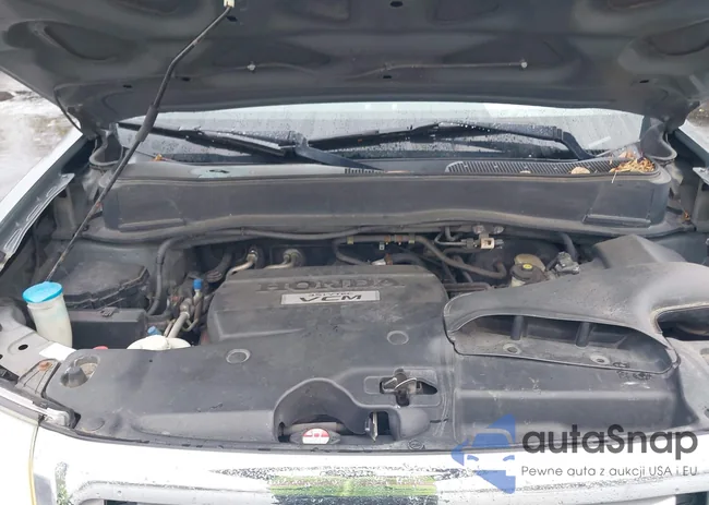 5FNYF4H49AB018743: 43427399