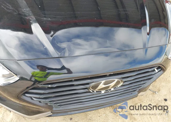 5NPE24AF6KH746145: 43428936