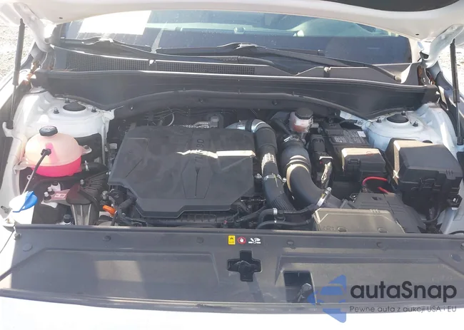 5NMS44AL4MH318397: 43429018