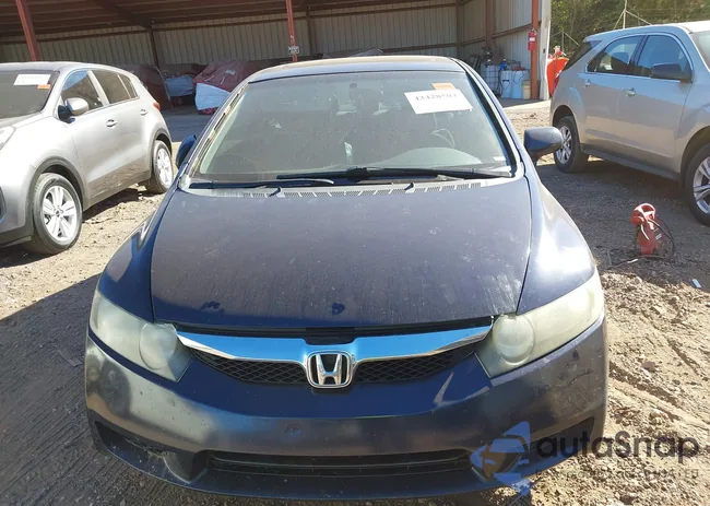 2HGFA16849H518956: 43428504