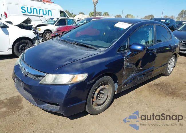 2HGFA1F55BH505354: 43428517