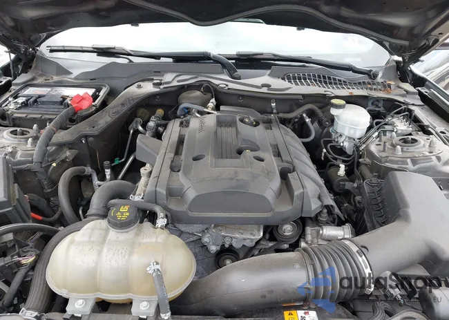 1FA6P8TH3H5304708: 43429656