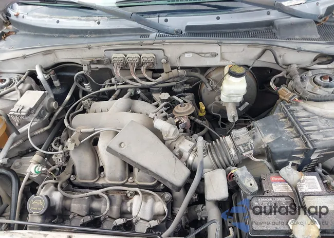 1FMYU93116KC74803: 43429331