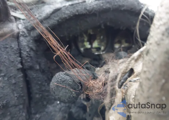 1FTPW14514KD65595: 43430769