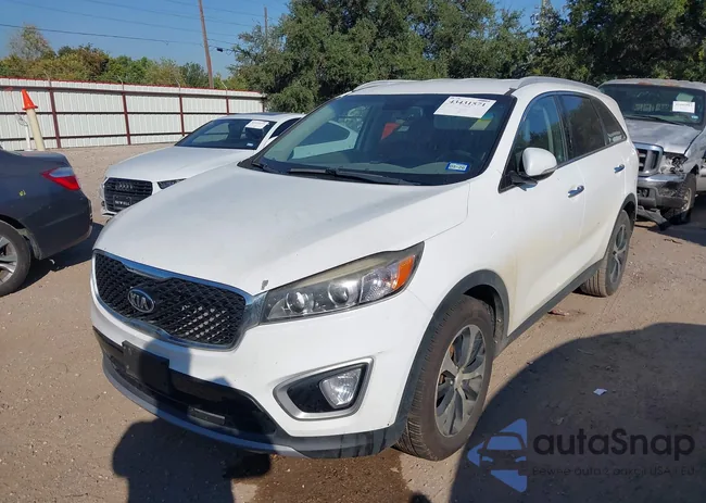 5XYPH4A54GG155857: 43431571