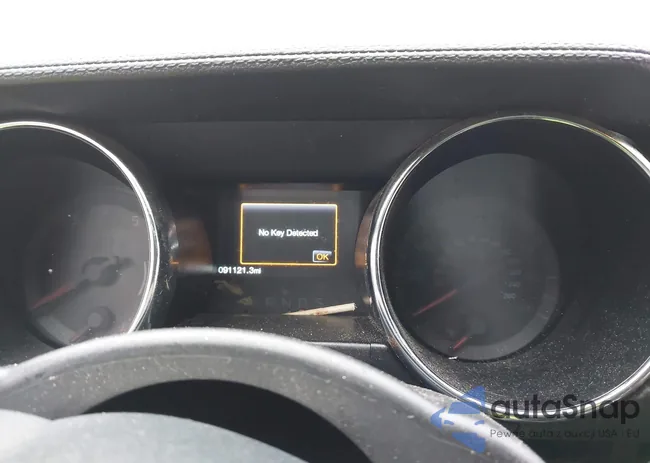 1FA6P8AM4F5305296: 43431575