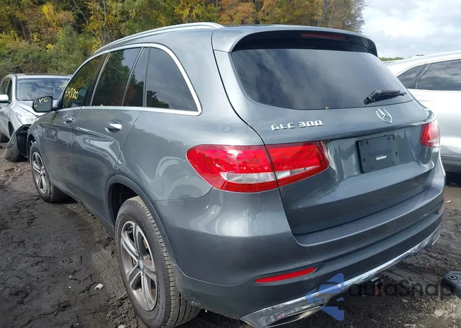 WDC0G4KB5GF082598: 43431700