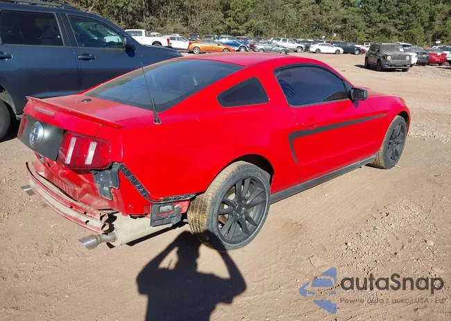 1ZVBP8AM1B5121594: 43431705